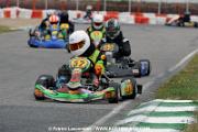 _DSC4595 copie